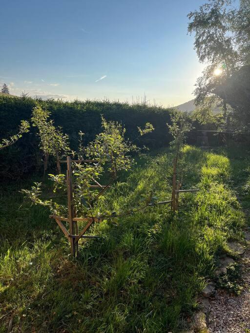 Nuit Insolite - La Cabane Du Haut-Doubs Les Gras Zewnętrze zdjęcie