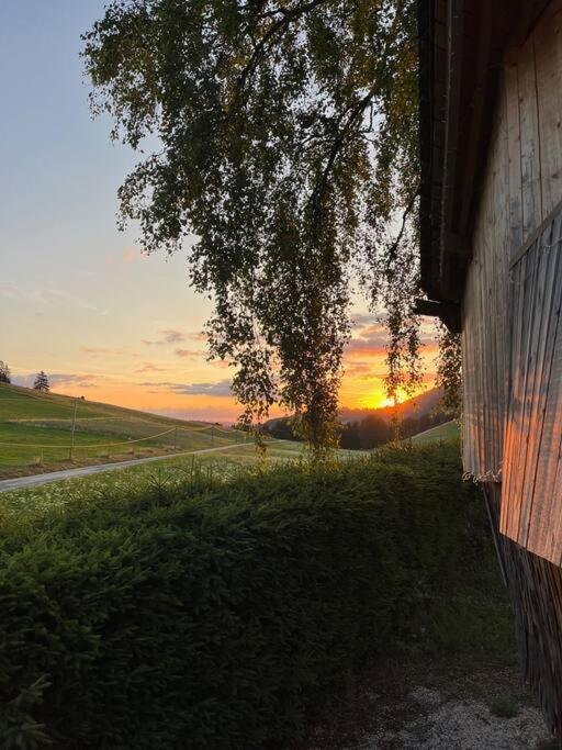 Nuit Insolite - La Cabane Du Haut-Doubs Les Gras Zewnętrze zdjęcie