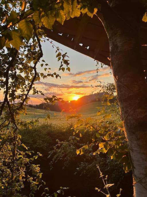 Nuit Insolite - La Cabane Du Haut-Doubs Les Gras Zewnętrze zdjęcie