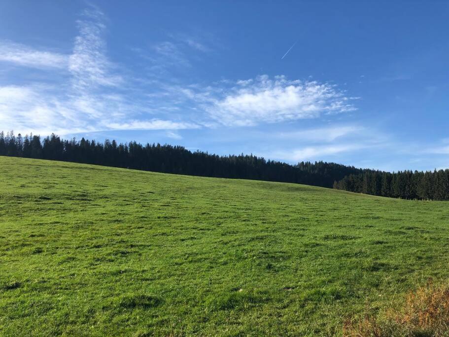 Nuit Insolite - La Cabane Du Haut-Doubs Les Gras Zewnętrze zdjęcie